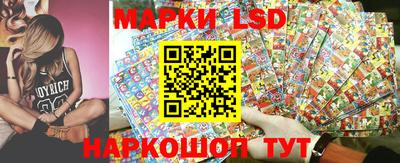 прущие грибы Апшеронск