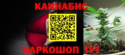 прущие грибы Апшеронск